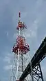 テレビ宮崎