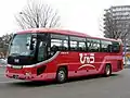 観光貸切 びゅうばす塗装（2013年3月撮影） H641-08405