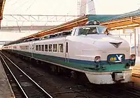 「白鳥」上沼垂色グレードアップ編成1991年 青森
