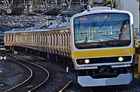 E231系は1つの系列であるが、通勤タイプ(左)と近郊タイプ(右)に二分される。 通勤タイプでは4ドアロングシートが主体であるが、近郊タイプでは4ドアにしつつもセミクロスシート車とグリーン車を連結させ、通勤輸送と中距離輸送を両立させている。