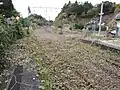 休止していた桃内駅構内（2012年11月26日）