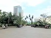 JR横浜タワー6階の屋上庭園「NEWoMan Garden」