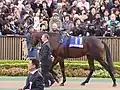 11. ジャッカルベリー