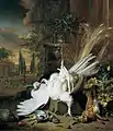 『死んだ孔雀の静物画』, ヤン・ウェーニクス