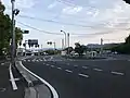 道の駅今治市多々羅しまなみ公園前の国道317号。