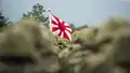自衛隊旗