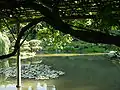 池