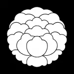 大割り牡丹（おおわりぼたん）