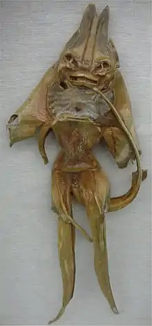 ヨーロッパの海岸沿いの町で作られた架空生物ジェニー・ハニヴァー（Jenny Haniver）