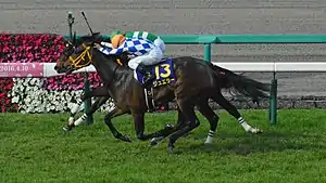 2016年優勝馬ジュエラー