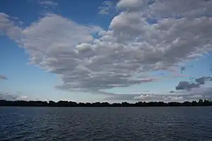 青空の下に散在する扁平な層積雲