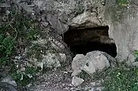 ジイの穴