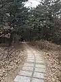 公園内の石板道