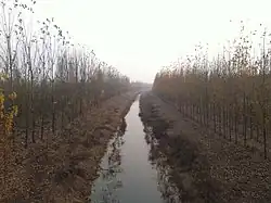 区内の南運河