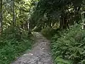 表参道（神武寺・鷹取山ハイキングコース）