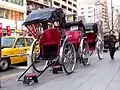 浅草雷門の人力車(2007年12月2日撮影)