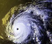 衛星画像(8月24日)
