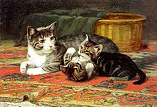 2匹の子猫と親猫