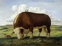 "Ajax" (1936/1937)
