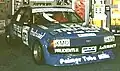 バサースト12時間を制覇したファルコン（1981年）