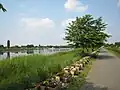 城沼 2008.5.17