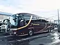 上州観光の大型バス（日野・セレガ）特別仕様車