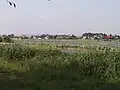 中央部 パークイン付近