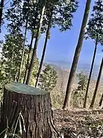 城山頂上付近