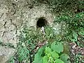 第7号墓