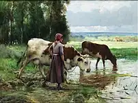 家畜に水を飲ませる女性