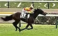 ジャスティンミラノ