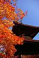 多宝塔紅葉の季節