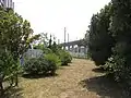 C.芸備線近くは空き地で残る