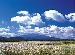 漢拏山山麓