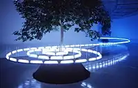 『樹とともに−螺旋の気配』2003年
