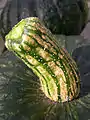 花柄