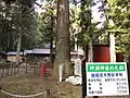 神淵神社の大杉