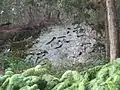 磨崖文字