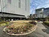 屋上庭園（2019年撮影）