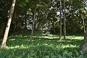 鏑木大神境内古墳（かぶらきおおかみ けいだいこふん）