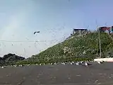 三陸復興国立公園(蕪島)