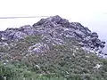 無数に見える白い点がウミネコ達（2010年6月）