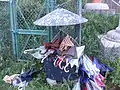 ウミネコの糞の被害を避けるために傘が置いてある（2010年6月）