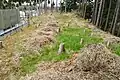 後円部から前方部を望む