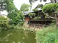 庭園と池