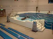 イルカプール
