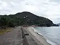 海岸から