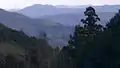 参道から南東方向を望む