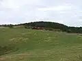 牧場越しに山頂方向を臨む