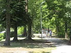 学校に隣接する柿田川緑道